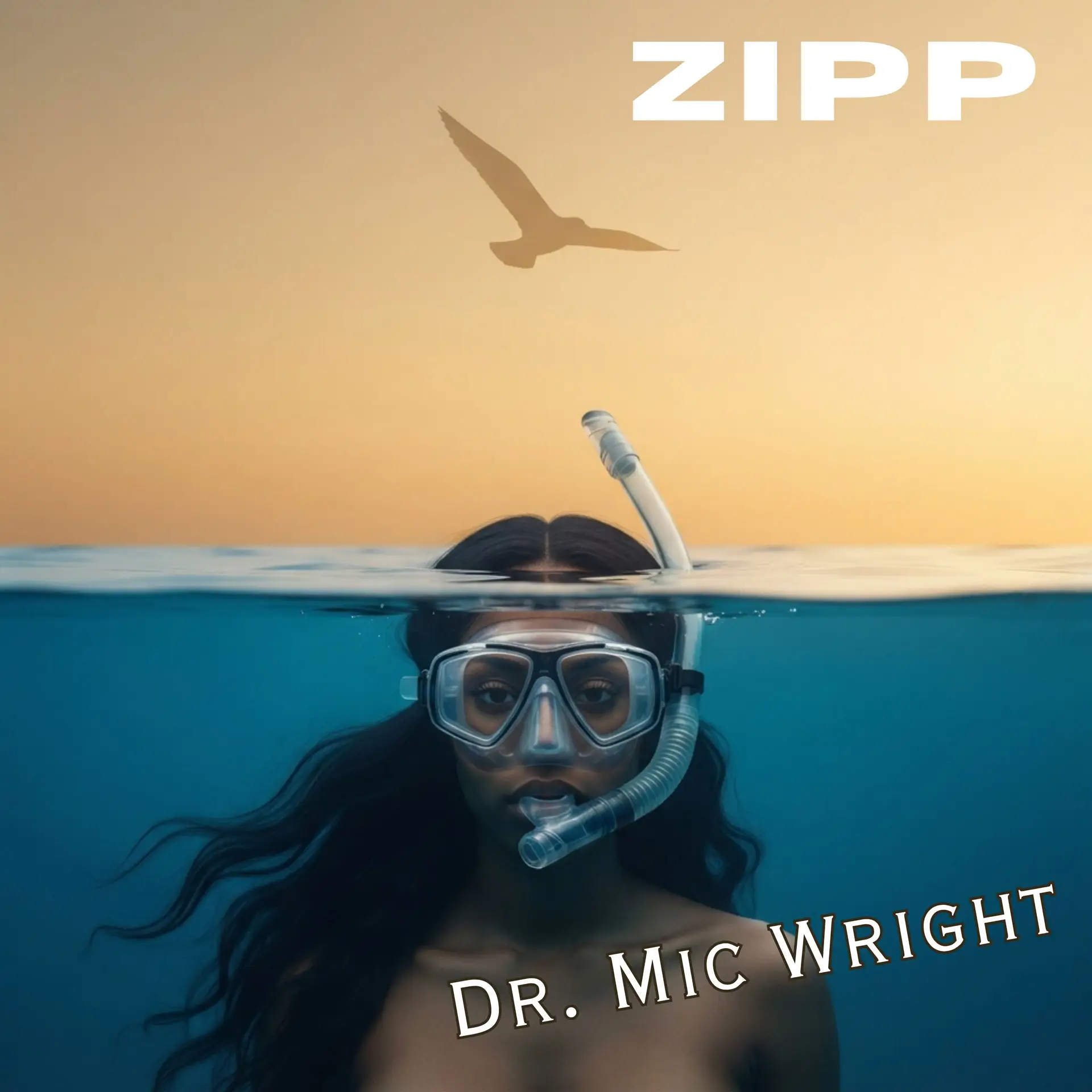 Zipp: An Encouraging Letter & Multimedia Project